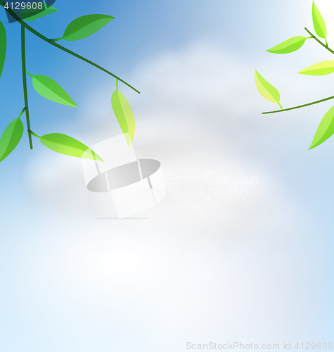 Image of Natural Background with Branch Tree