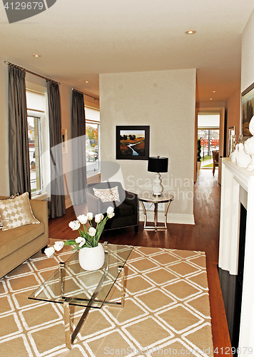 Image of Beautiful living room in a new house.