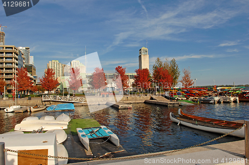 Image of Red autumn trees on the yacht harbor.