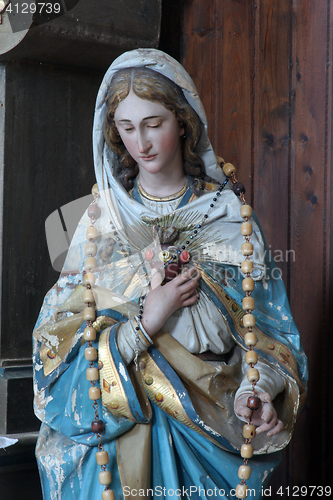 Image of Immaculate Heart of Mary