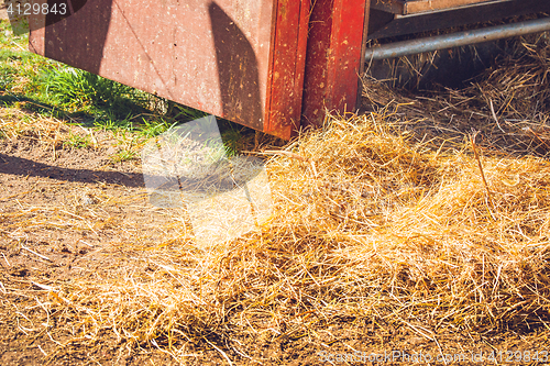 Image of Golden hay at a stable