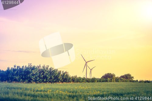 Image of Windmills on a meadow