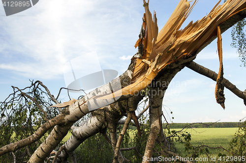 Image of weathered wood broken