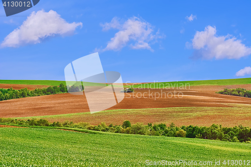 Image of Fields under Sky