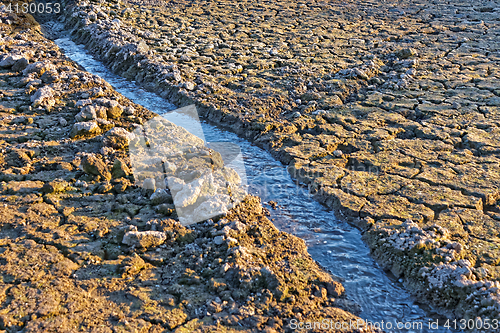 Image of Small water stream on dried cracked earth