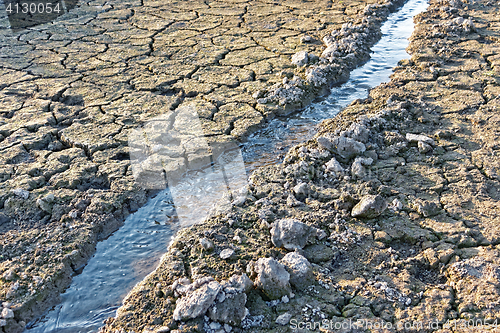 Image of Water stream among dried cracked soil