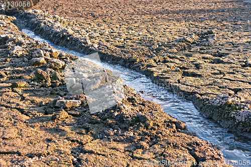 Image of Water stream among dried cracked earth