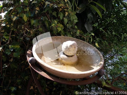 Image of bird bath