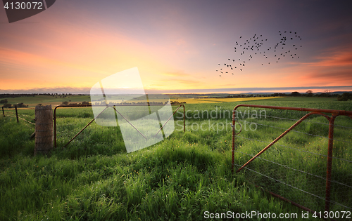 Image of Rusty gates open to wheat and canola crops