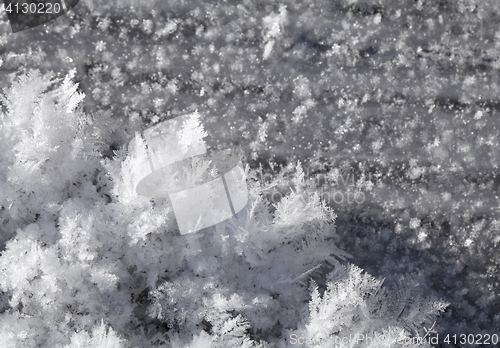 Image of Snow crystals on the ground 