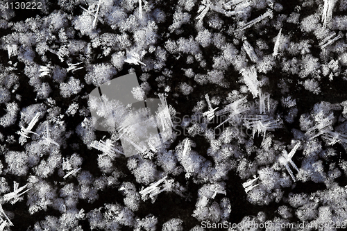 Image of Snow crystals on the ground 