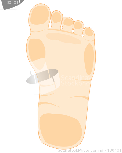 Image of Foot of the person