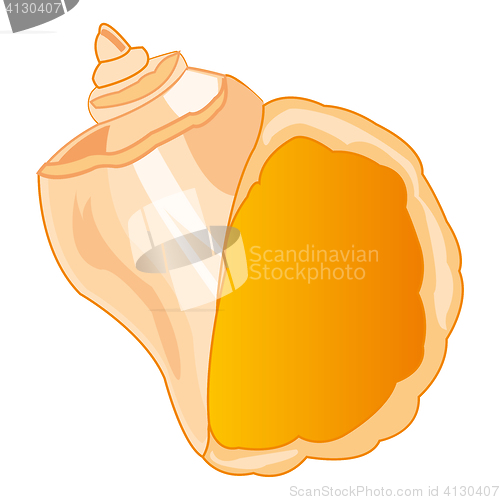 Image of Seashell sea on white