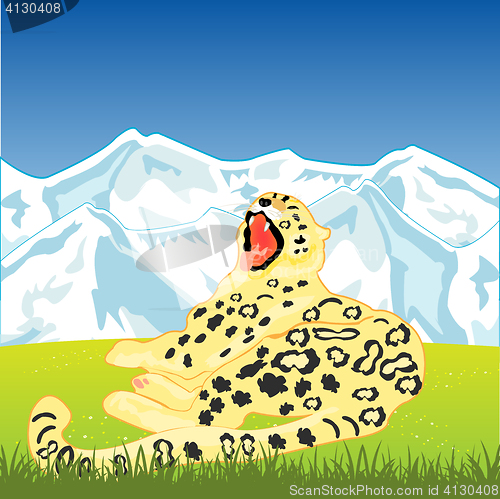 Image of Snow leopard on nature