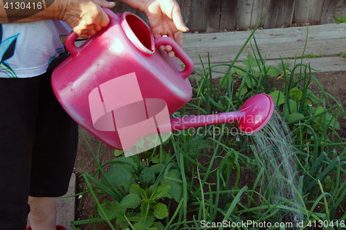 Image of Woman waters water of the plant