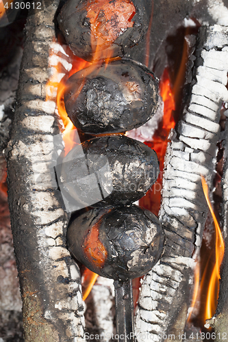 Image of fried vegetables on a fire