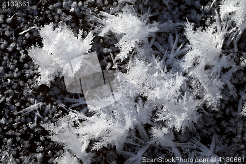 Image of Snow crystals on the ground 