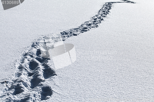 Image of Footsteps in the snow