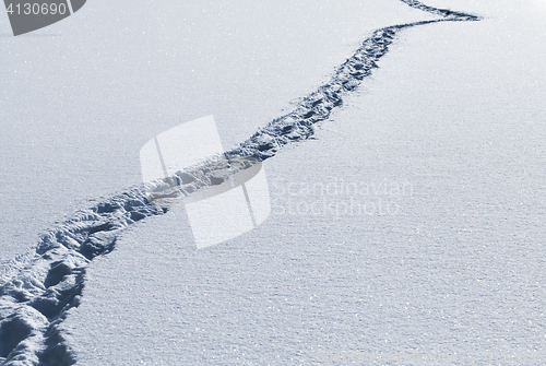 Image of Footsteps in the snow