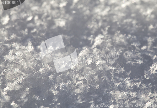 Image of Snow texture, macro