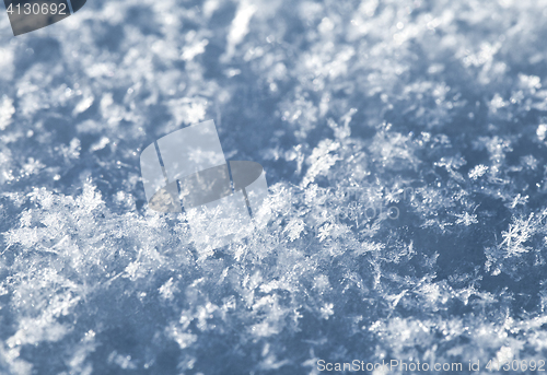 Image of Snow texture, macro