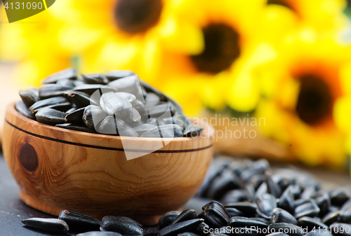 Image of sunflower seed