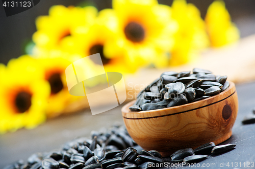 Image of sunflower seed