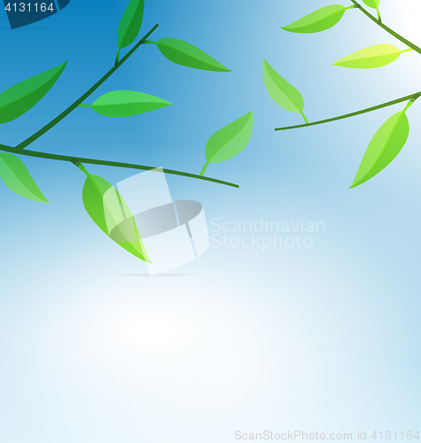 Image of Branch Tree with Green Leaves