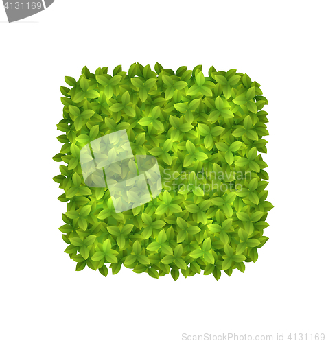 Image of Eco Friendly Label Made in Green Leaves,