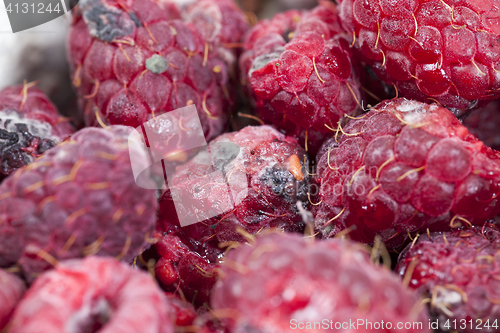 Image of mold on the raspberries