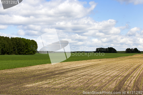 Image of plowed for crop land