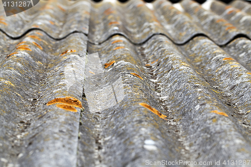 Image of slate with moss