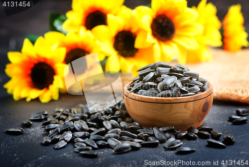 Image of sunflower seed