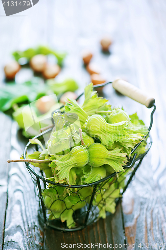 Image of hazelnuts