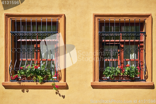 Image of Windows with Flowers