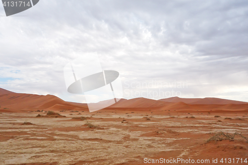 Image of desert landscape