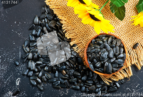 Image of sunflower seed