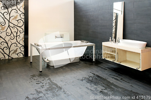 Image of Glass bathtub