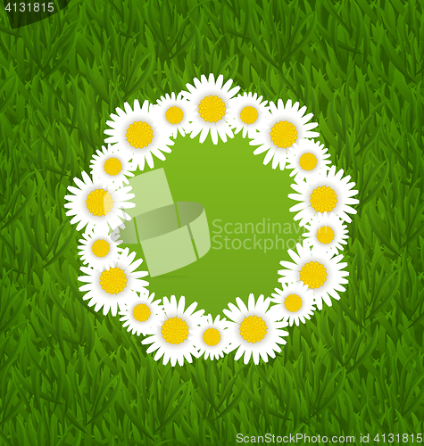 Image of Spring freshness card with grass and camomiles flowers