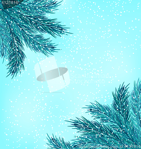 Image of Winter Natural Background with Fir Branches