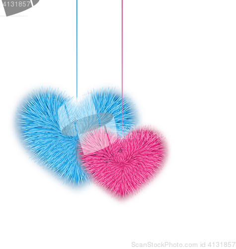 Image of Fur pink and blue hearts for Valentines Day isolated on white ba