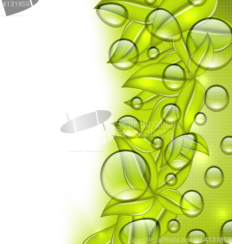 Image of Water drops on fresh green leaves texture, copy space for your t