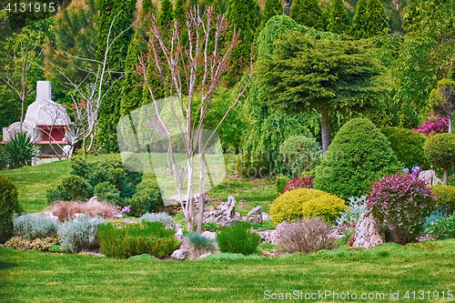 Image of Garden with Different Plants
