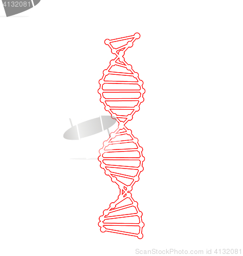 Image of DNA Molecules Isolated on White