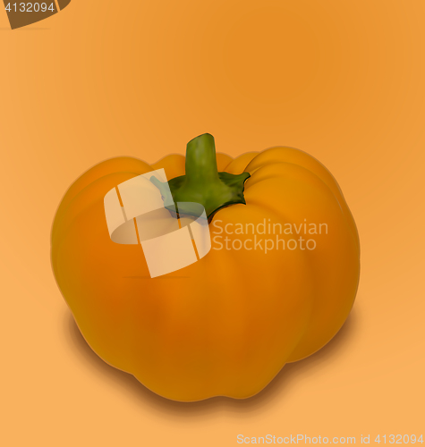 Image of Pumpkin Vegetable with Shadow