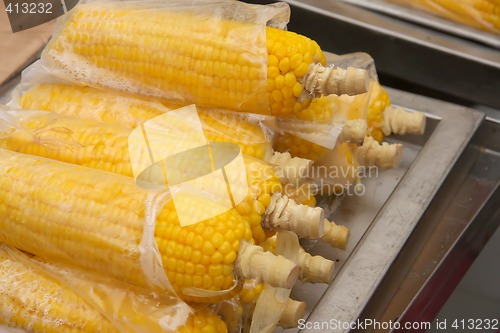 Image of Corn on the cob