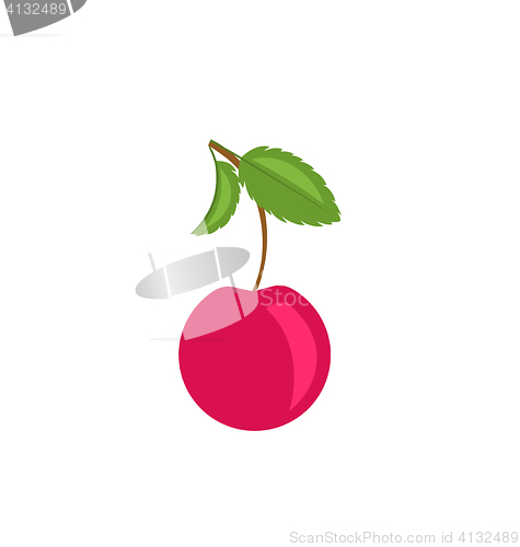 Image of Single Cherry with Green Leaves Isolated