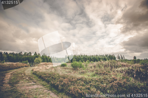 Image of Prairie landscape with green trees and wild flowers