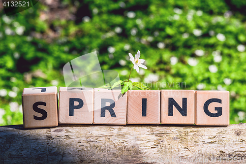 Image of Spring sign on timber in a forest