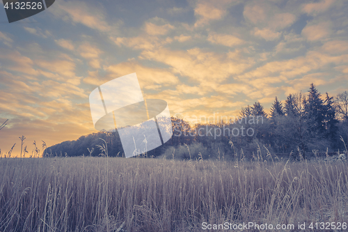 Image of Winter landscape with trees and a sunrise